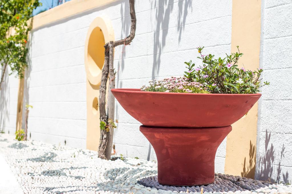 法里拉基Mosaic Gardens公寓 外观 照片